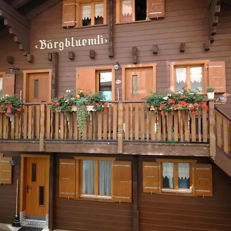 Baergblueemli Eg Sued Appartement-fewo- Dusche Oder Bad- Wc By Interhome *