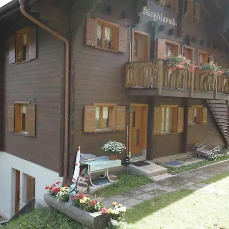 Appartamento Baergblueemli Eg Sued Appartement-fewo- Dusche Oder Bad- Wc By Interhome *