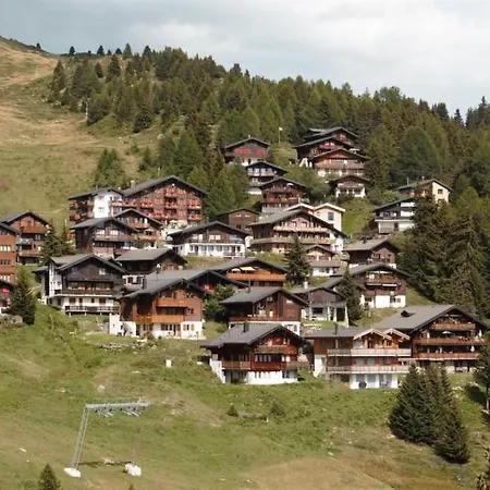 Baergblueemli Eg Sued Appartement-fewo- Dusche Oder Bad- Wc By Interhome Bettmeralp